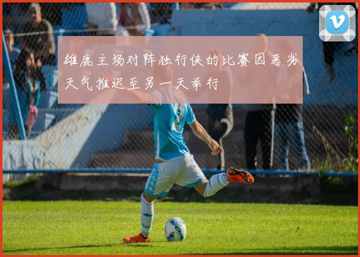 雄鹿主场对阵独行侠的比赛因恶劣天气推迟至另一天举行