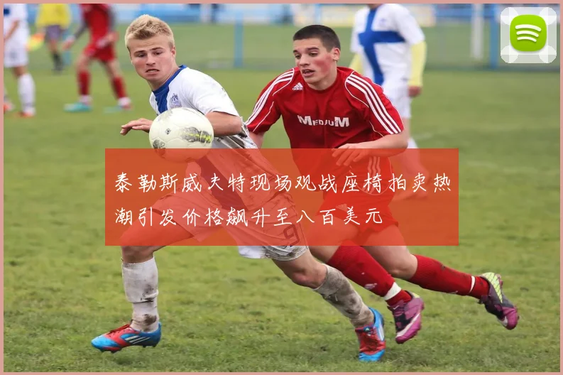 泰勒斯威夫特现场观战座椅拍卖热潮引发价格飙升至八百美元